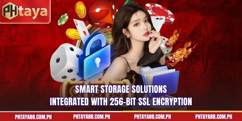 Smart storage solutions integrated with 256-bit SSL encryption